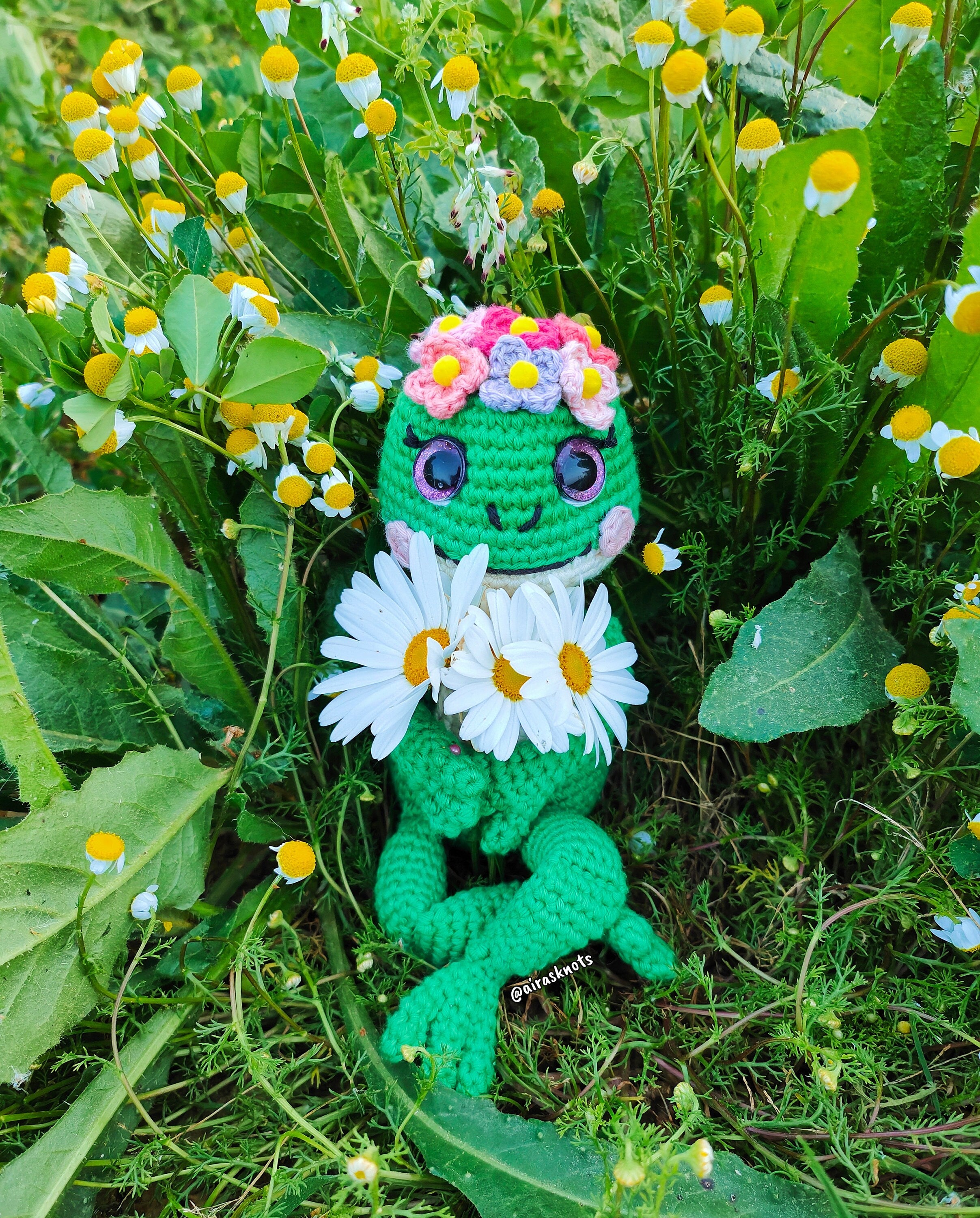Francine the Frog Amigurumi PDF Pattern English