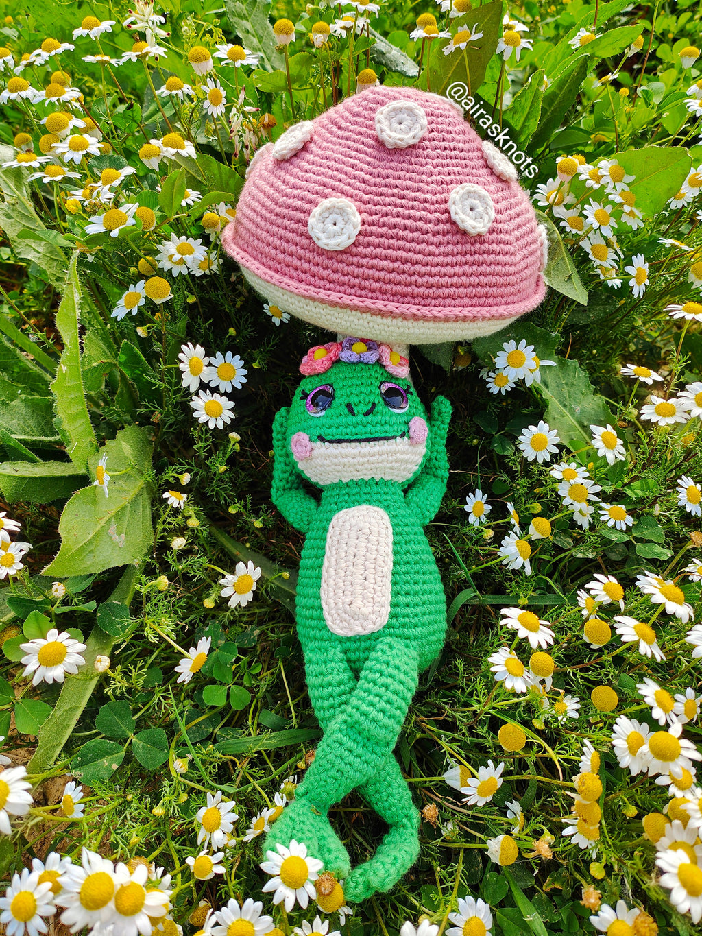 Francine the Frog Amigurumi PDF Pattern English